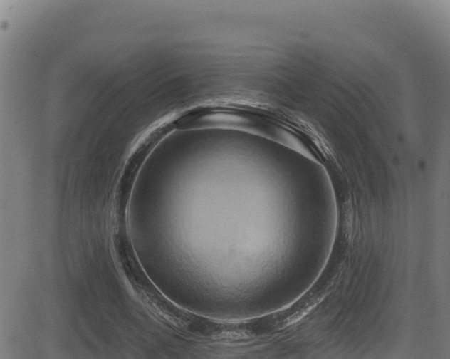 X0000081500536200701121538