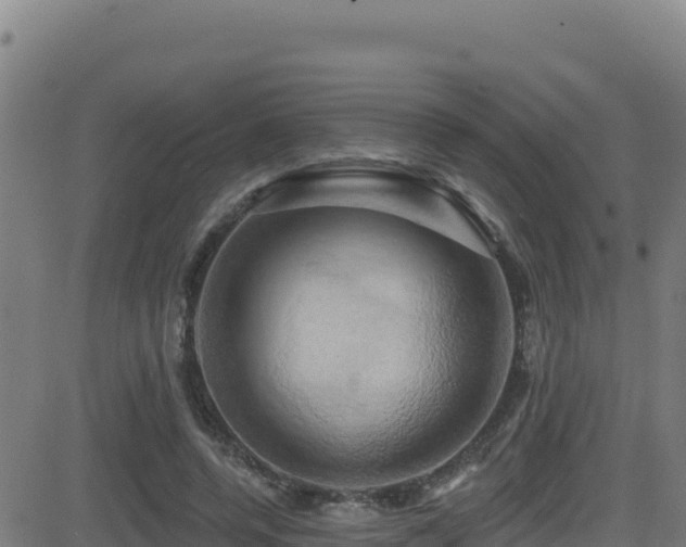 X0000081500544200701121538