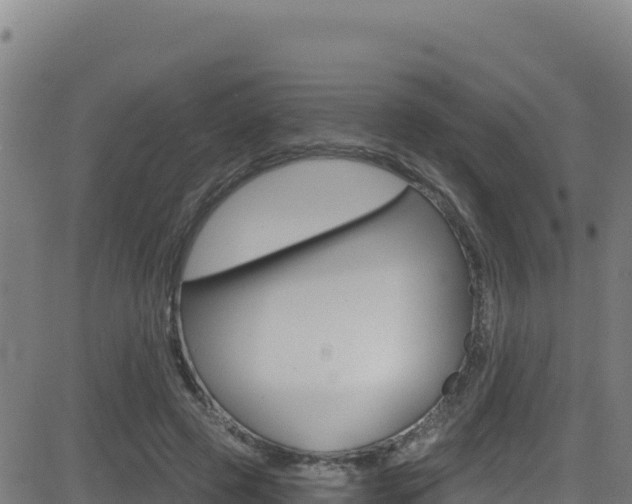 X0000081500545200701121538