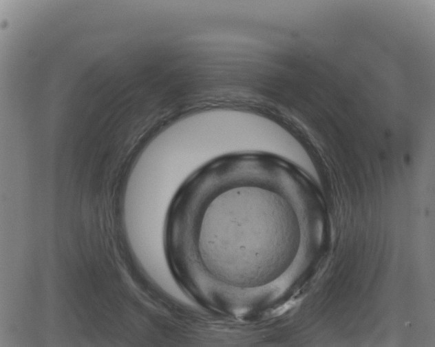 X0000081500546200701121538