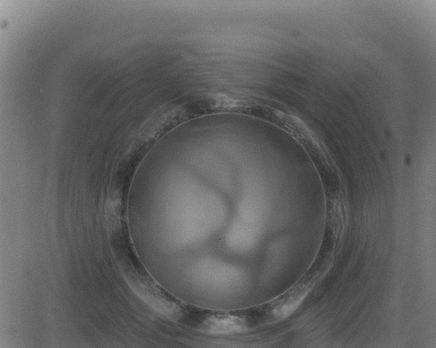 X0000081500557200701121538