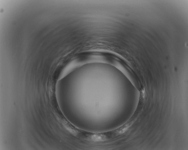 X0000081500566200701121538