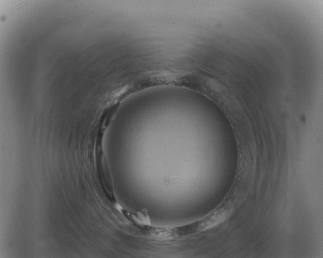 X0000081500624200701121537