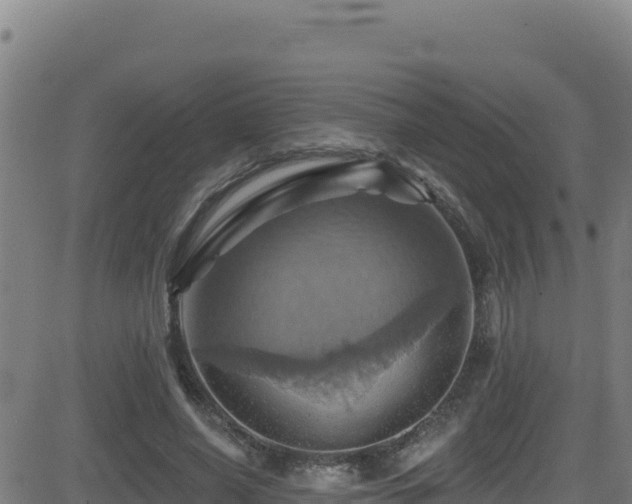 X0000081500638200701121536