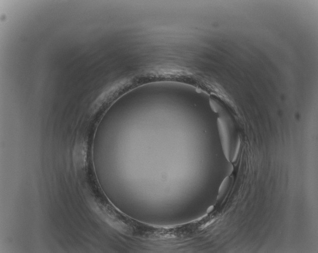 X0000081500640200701121536