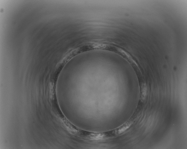 X0000081500667200701121537