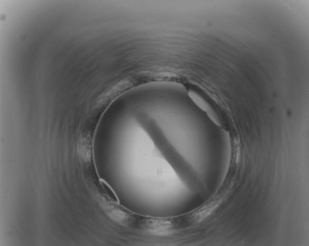 X0000081500719200701121535