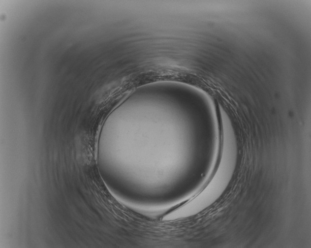 X0000081500916200701121531
