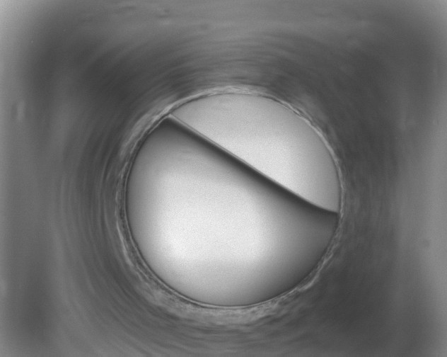 X0000081500001200701191936