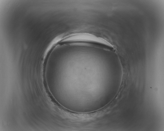 X0000081500006200701191936