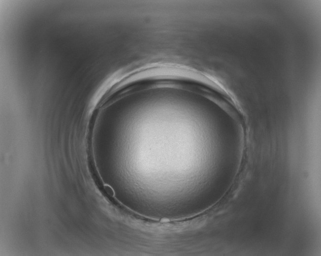 X0000081500007200701191936