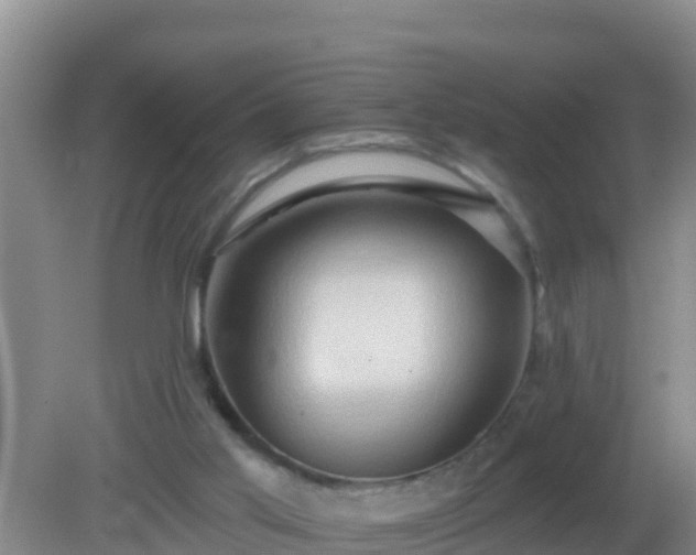 X0000081500013200701191936