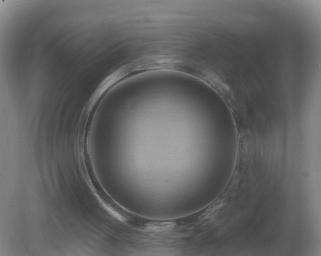 X0000081500051200701191935