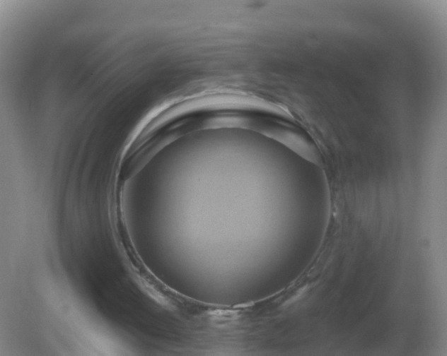 X0000081500052200701191935