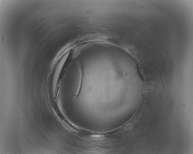 X0000081500053200701191935