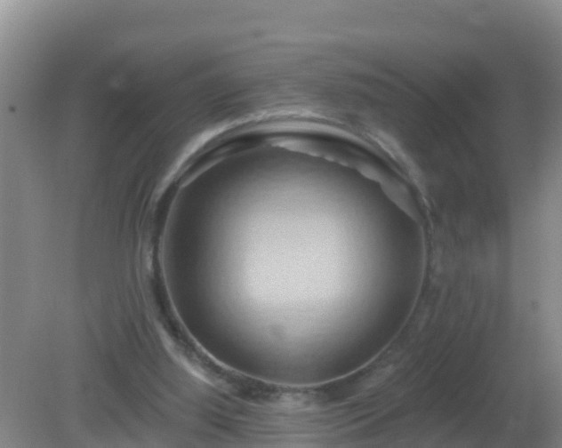 X0000081500060200701191935