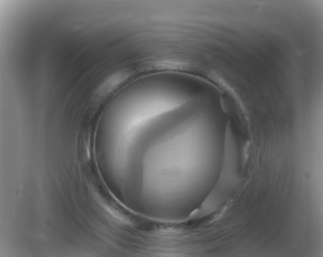 X0000081500062200701191935