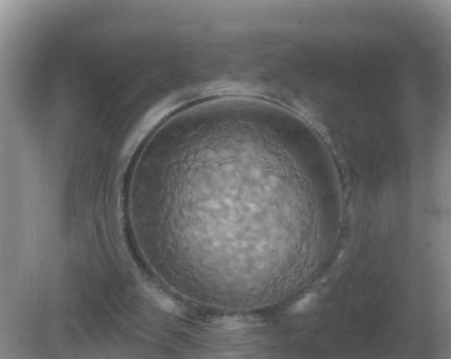 X0000081500103200701191934