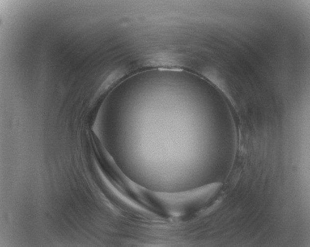 X0000081500109200701191934