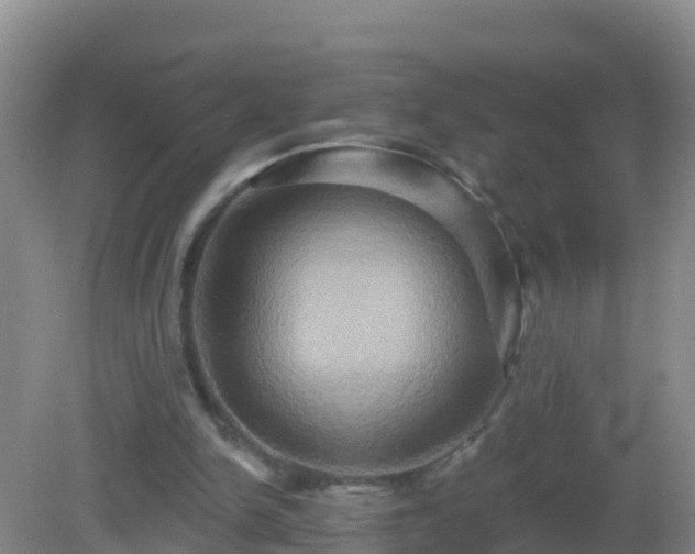 X0000081500150200701191933