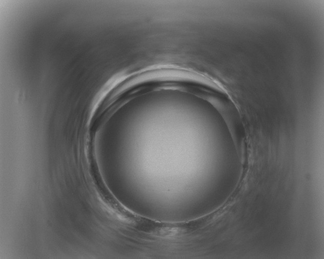 X0000081500152200701191933