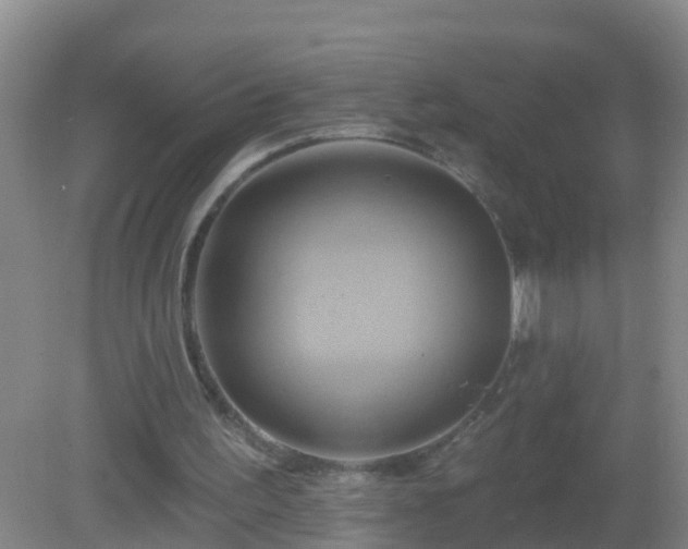 X0000081500195200701191933