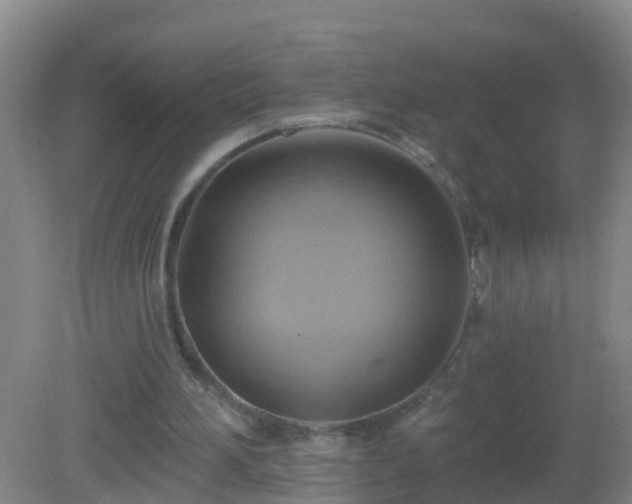 X0000081500196200701191933
