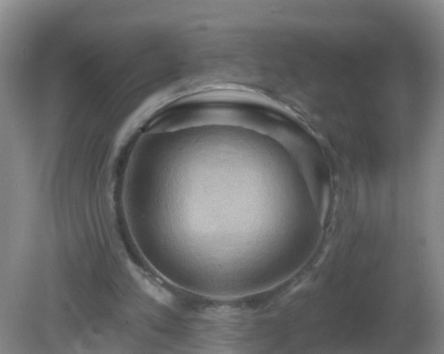 X0000081500197200701191933