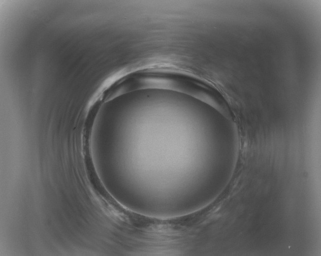 X0000081500244200701191931