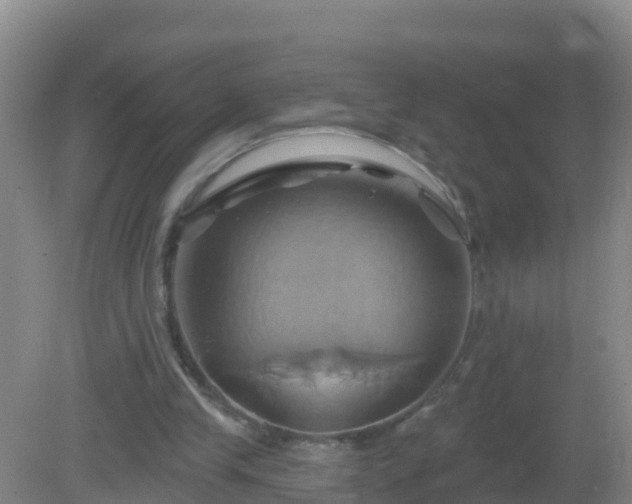 X0000081500245200701191931