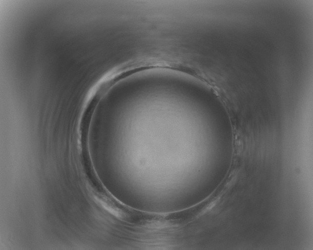 X0000081500246200701191931