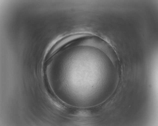 X0000081500248200701191931
