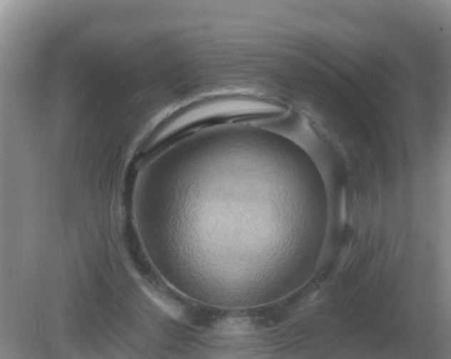 X0000081500252200701191932