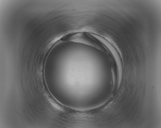 X0000081500389200701191930