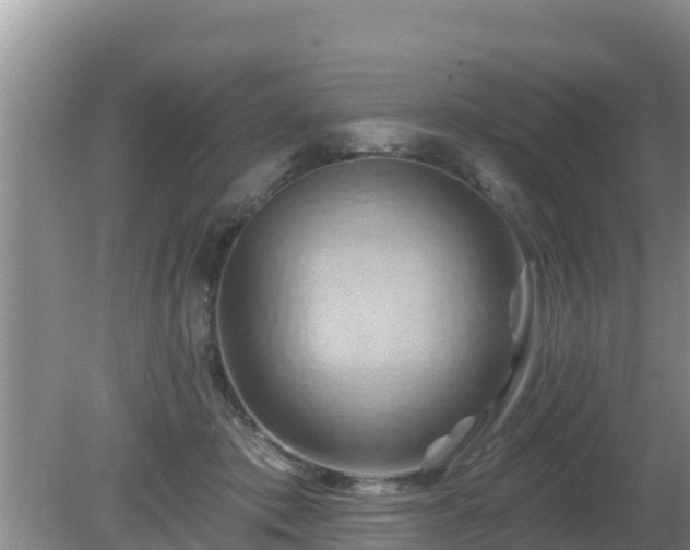 X0000081500413200701191929