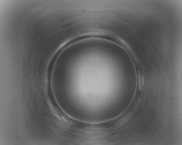 X0000081500435200701191928