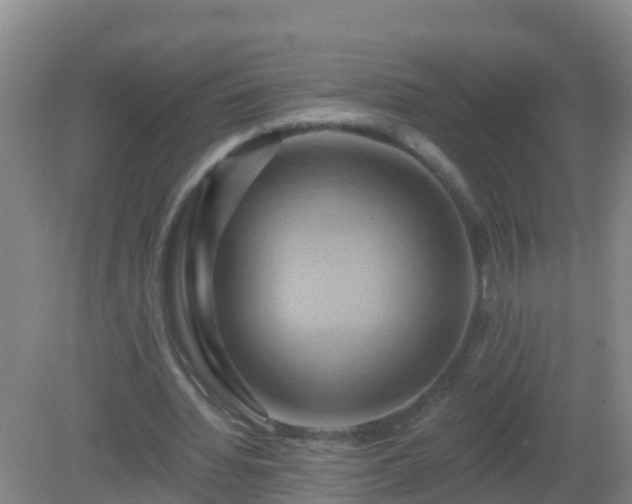 X0000081500436200701191928