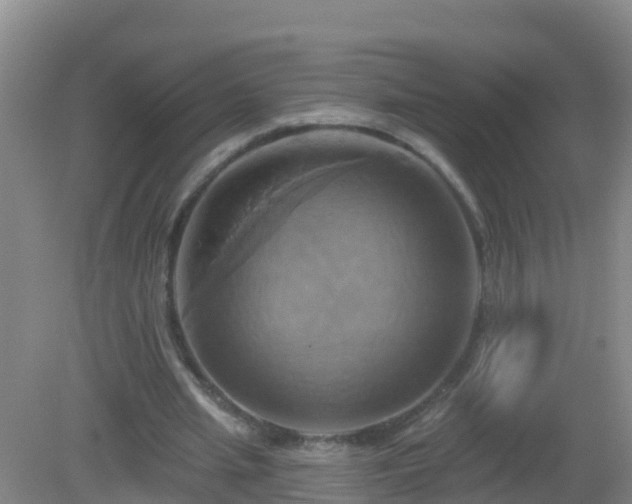 X0000081500437200701191928