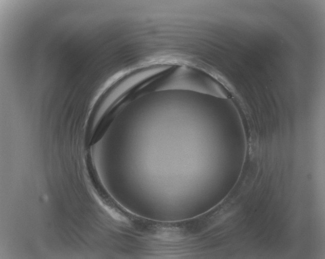 X0000081500438200701191928
