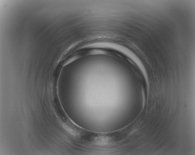 X0000081500444200701191928