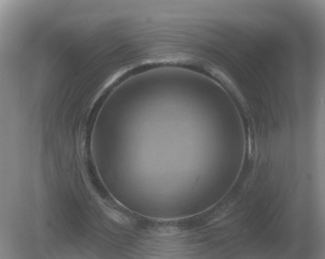 X0000081500483200701191928