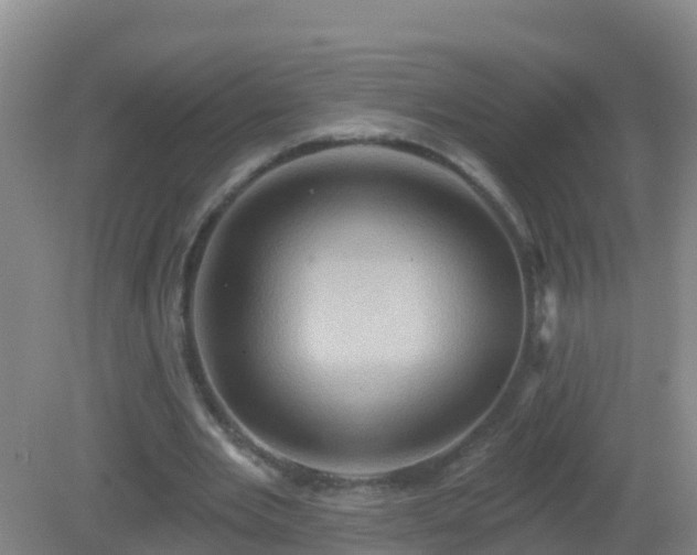 X0000081500485200701191928
