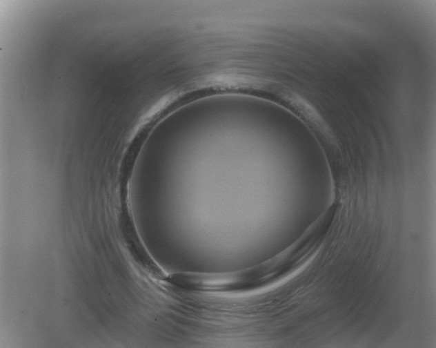 X0000081500488200701191928
