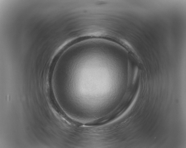 X0000081500532200701191927