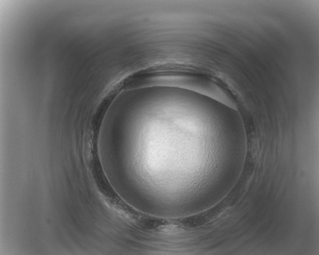 X0000081500544200701191927