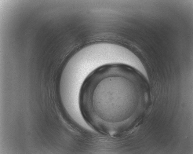X0000081500546200701191927