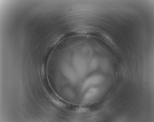 X0000081500549200701191927