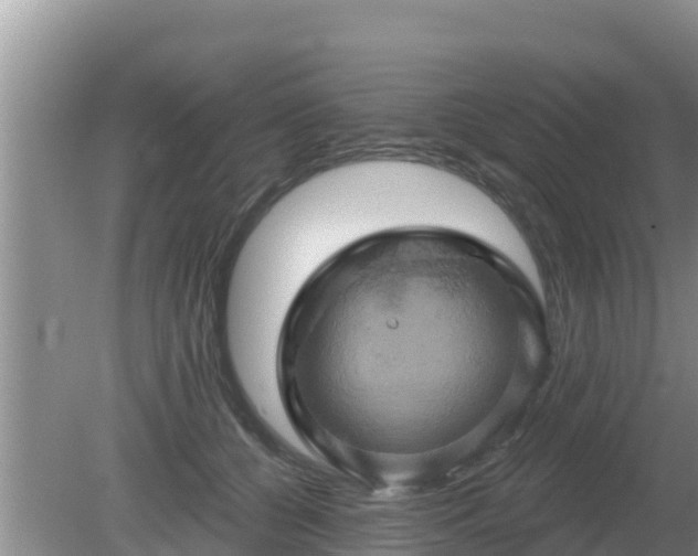 X0000081500560200701191927