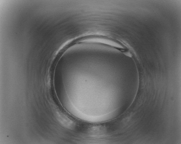 X0000081500584200701191926
