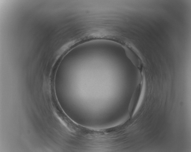 X0000081500626200701191925